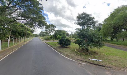 CAÇAMBA PAPA LÉGUAS em Bauru - SP
