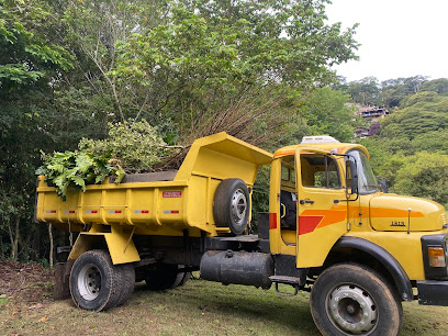 D&D Locações e Trasportes - Caçambas em Petrópolis - RJ