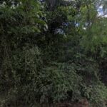 Imagem ilustrativa da empresa Eco Entulho - Caçambas em Porto Alegre - RS