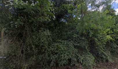 Eco Entulho - Caçambas em Porto Alegre - RS
